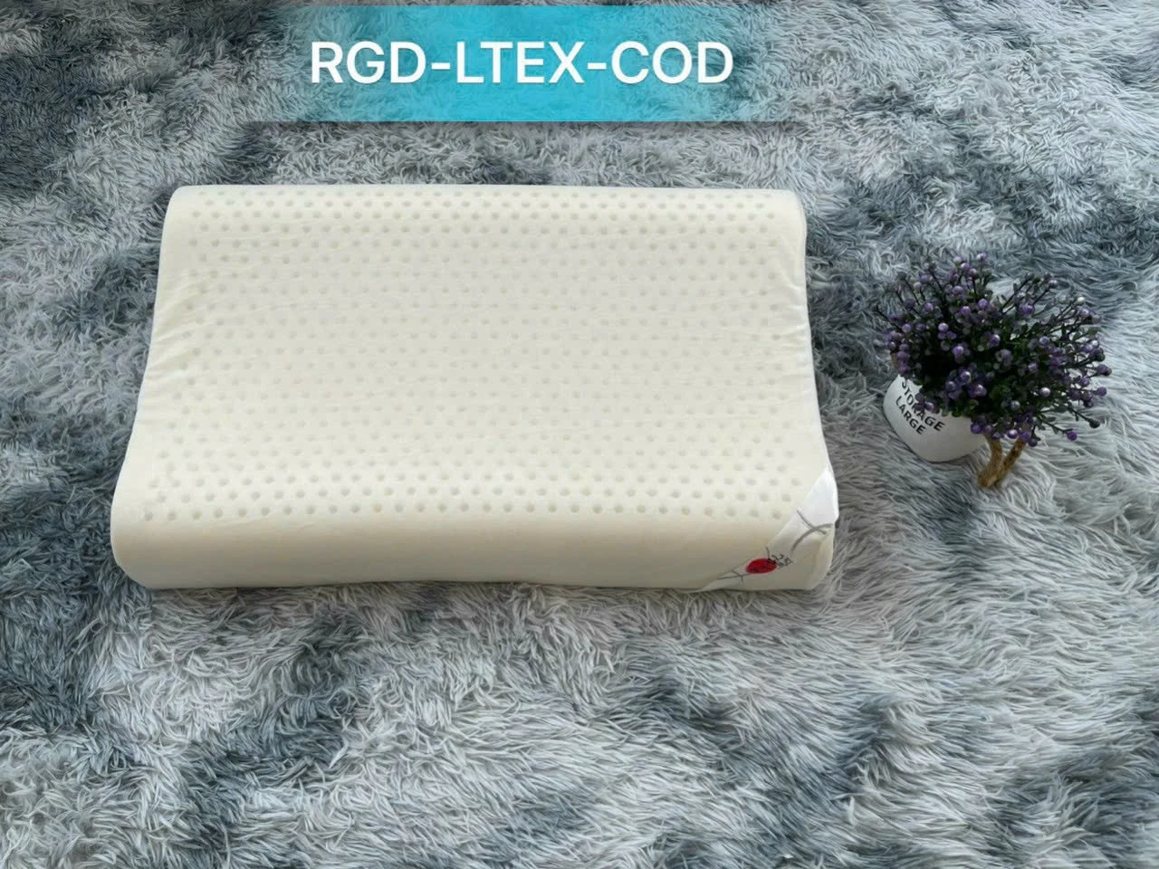 Gối cao su RG-LTEX-COD